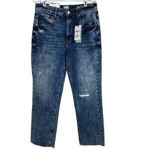 Articles Of Society The Village High Rise Straight Jeans Size 12 Waist 31